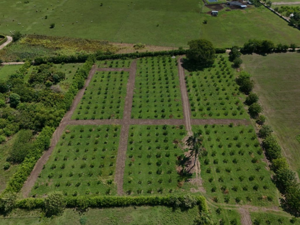 Espinal-Girardot, El Espinal, Tolima, Colombia